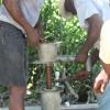 IMG 3075